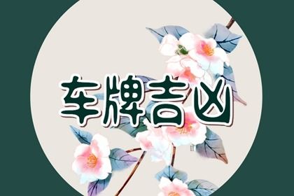 号码吉凶是什么