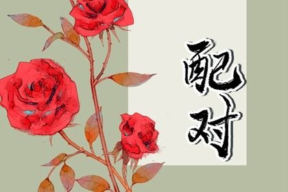 日支定夫妻宫：合与冲